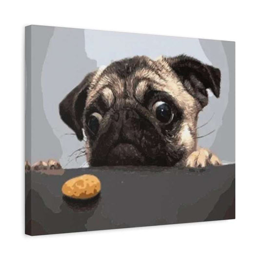 Adorable pug staring at a cookie with wide eyes – Snack Time Pup Paint By Numbers Kit Canada shown in a frame
