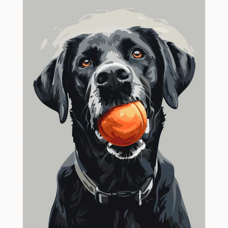 Black dog with orange ball in mouth featured in Playful Buddy Paint By Numbers kit for Canadian art lovers