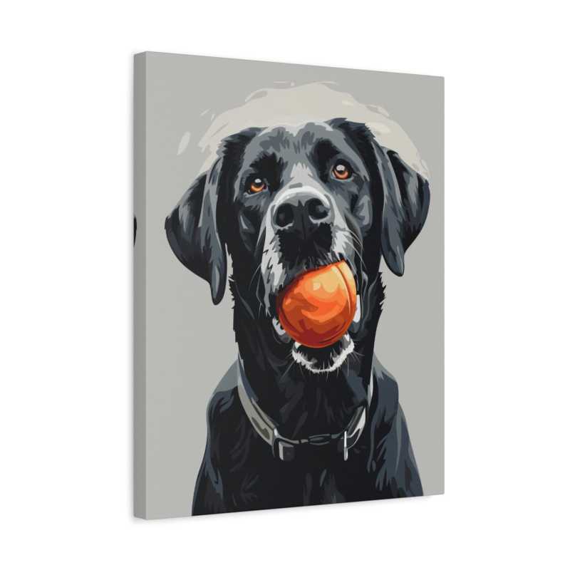 Black dog with orange ball in mouth featured in Playful Buddy Paint By Numbers kit for Canadian art lovers shown in a frame.