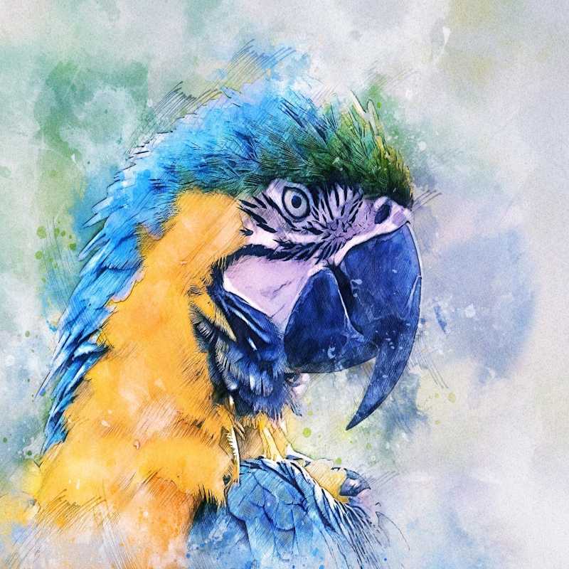 Paint By Numbers artwork of a vibrant tropical parrot with striking blue, yellow, and green feathers on a soft artistic background, bold and eye-catching.