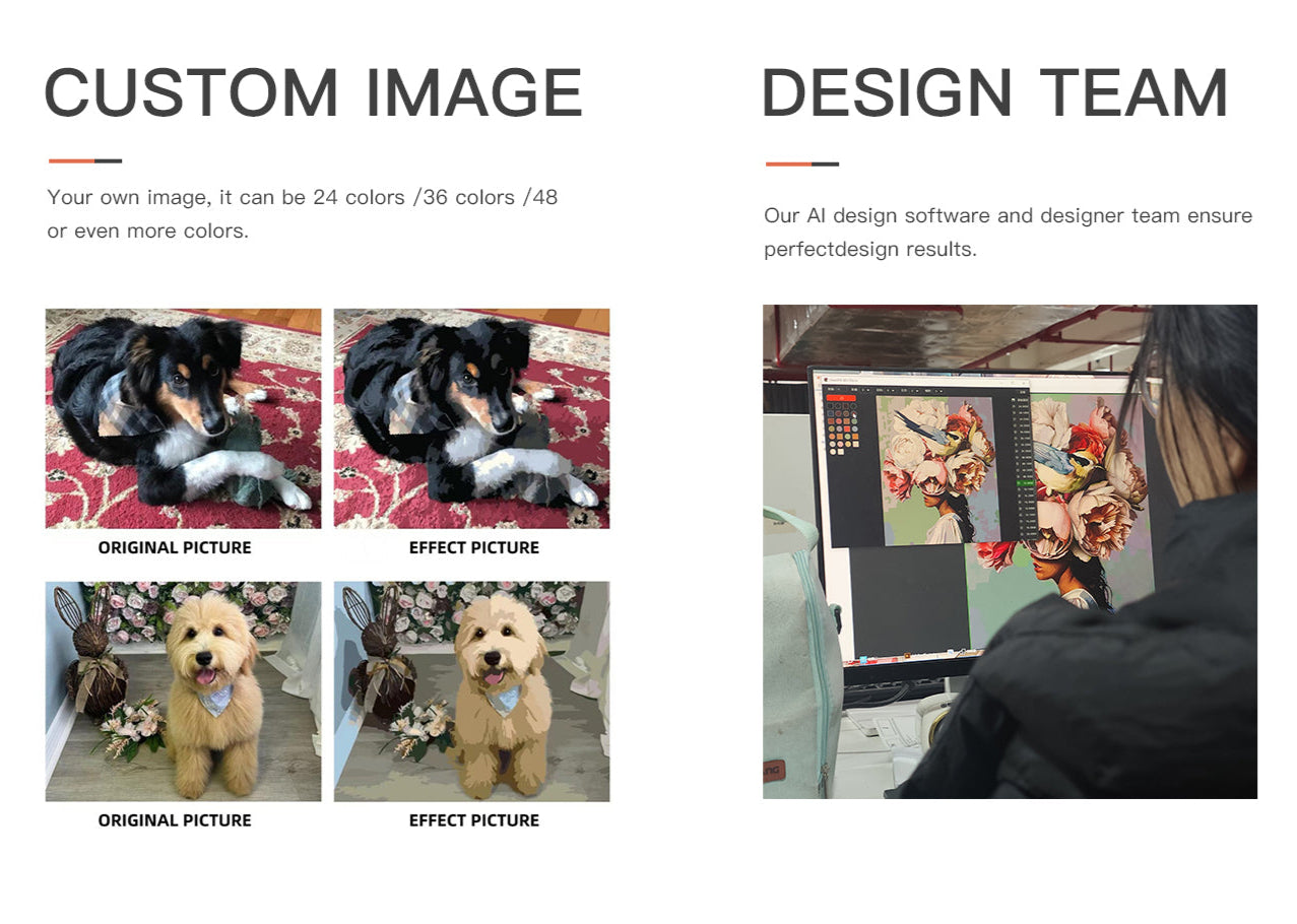 Custom Paint By Numbers kits in Canada showing original pet photos, digital paint effect conversion, and a design team member editing artwork