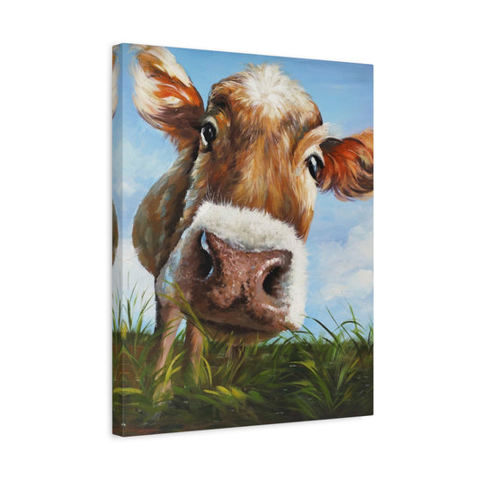 Cute Cow Paint By Numbers Kit featuring a close-up of a sweet-faced cow staring directly at the viewer with charm and curiosity shown in a frame.
