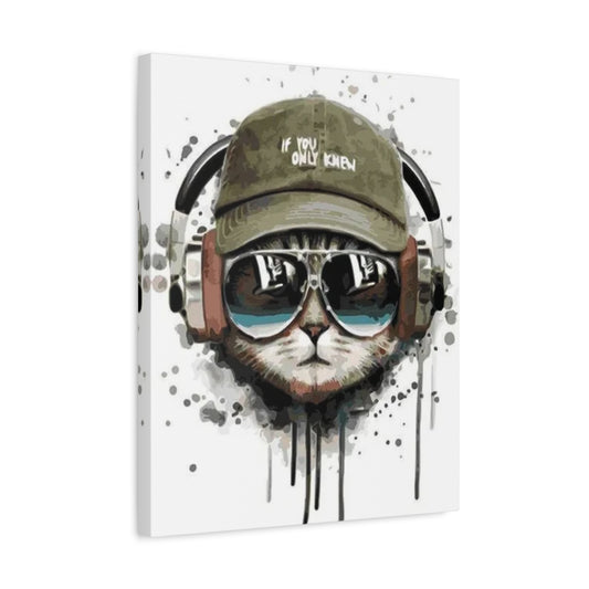 Purrfect Beats Paint By Numbers featuring a cool cat in sunglasses, cap, and headphones with urban paint splash style shown in a frame.